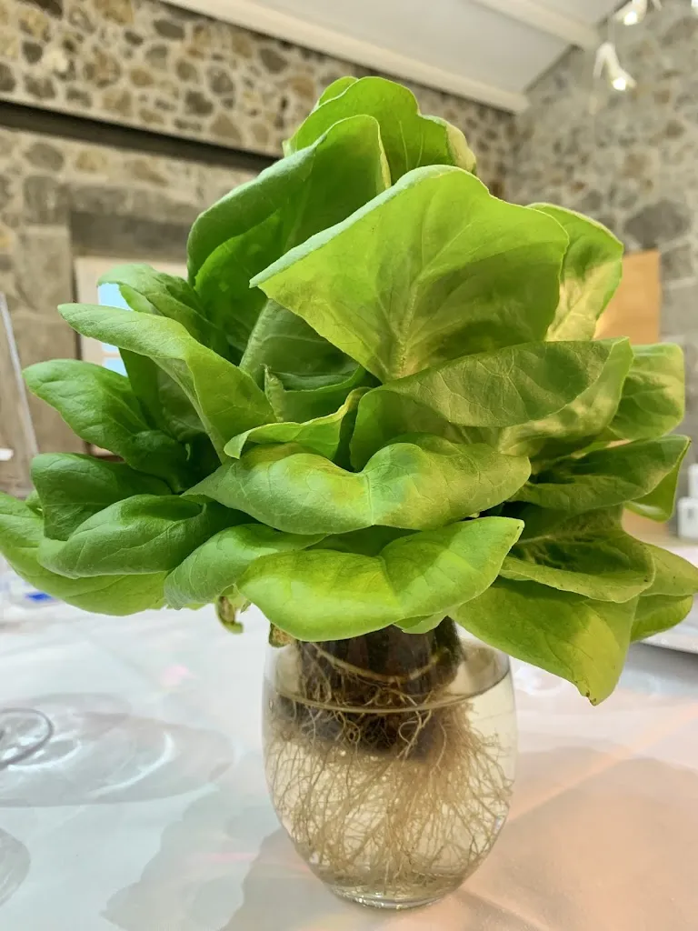 Thorsten R_Restaurante Ibidem_Arnuero_review