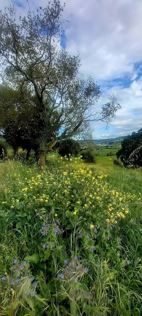 68wardo_Sidrería La Xiriga_Arnuero_review