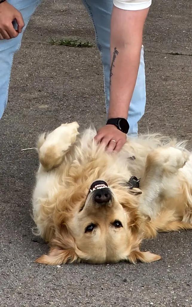 M 7_Casa de Labranza Ría de Castellanos_Arnuero_recensione