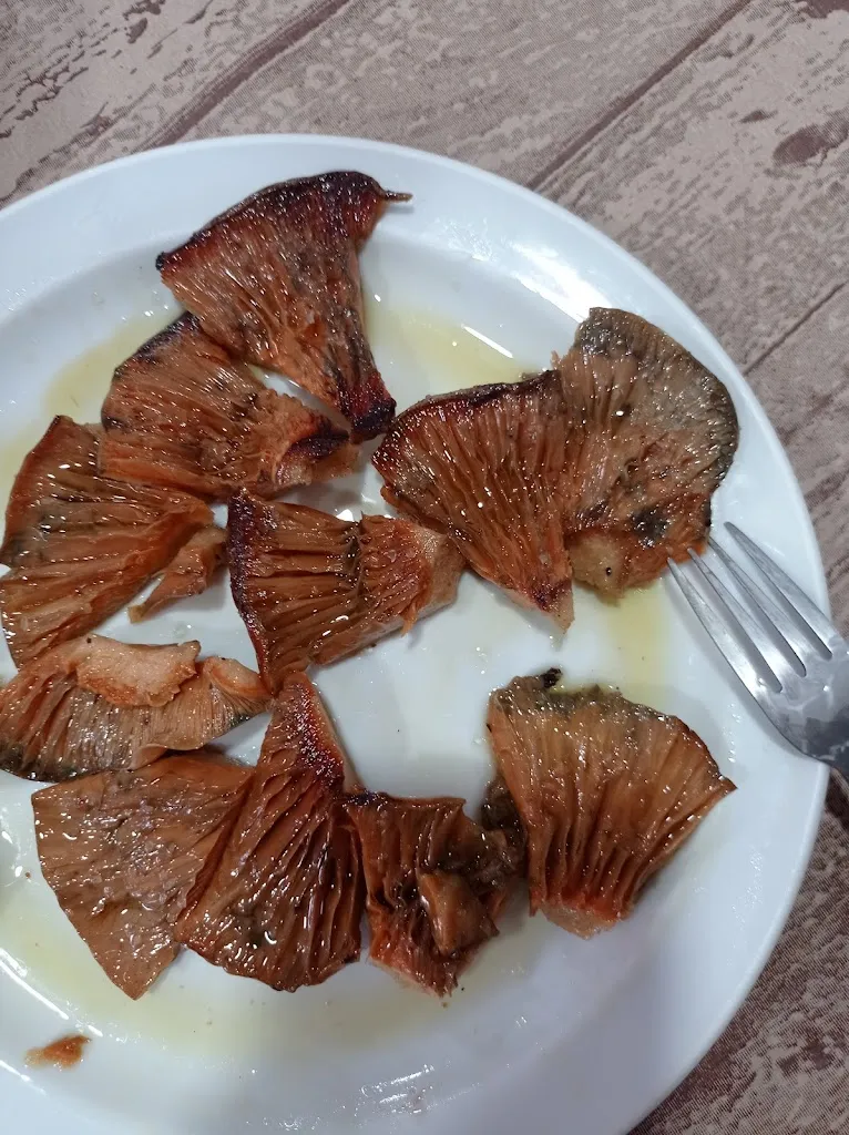 Menu_Casa Morci_Elche de la Sierra_image_9