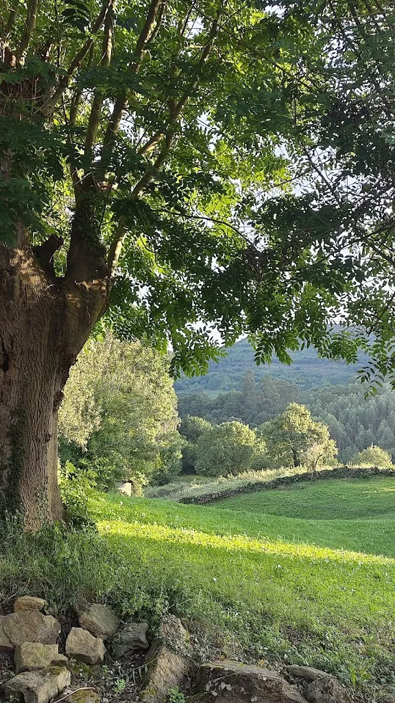 Enrique Rodriguez-Porrero Miret_Casa Marañón_Entrambasaguas_review