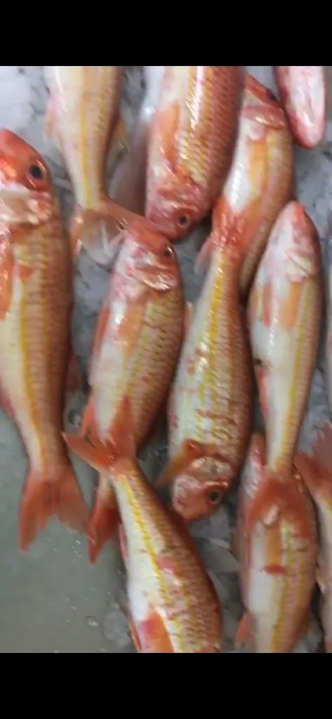 Menu_Restaurante Posada Cantabria_Guriezo_image_4