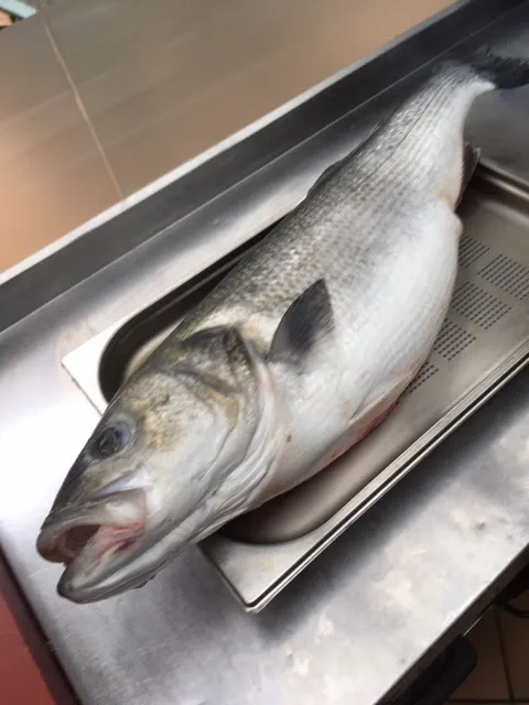 Menu_Restaurante Posada Cantabria_Guriezo_image_6