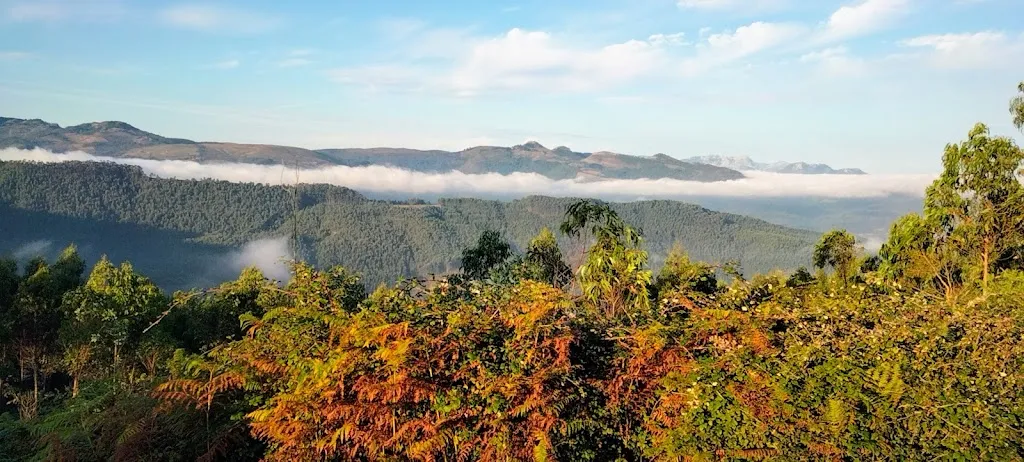 Bar Guriezo ristorante a Guriezo