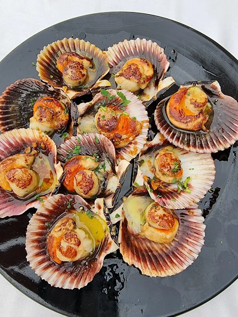 Menu_Bar Alfredo Castro Urdiales_Castro-Urdiales_image_6