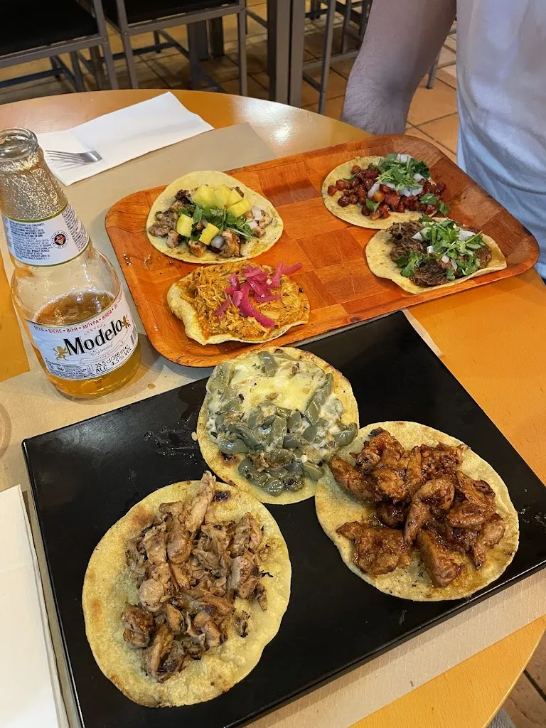 Adrianna Hync_Takkos_Castro-Urdiales_review