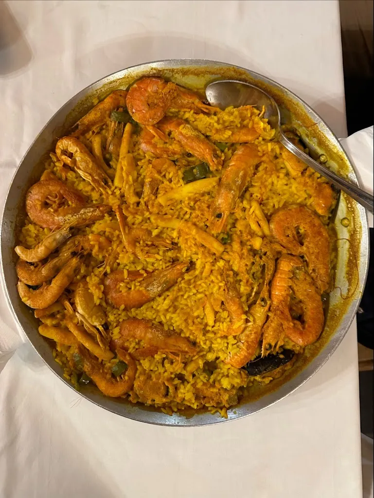 Rossella Foti_Mijedo_Noja_review