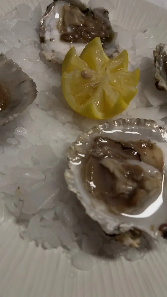 Mijedo_Noja_slider_image_2