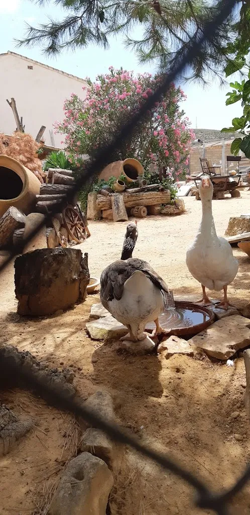 Tapeo & Tú Café-Pub_Fuentealbilla_slider_image_3