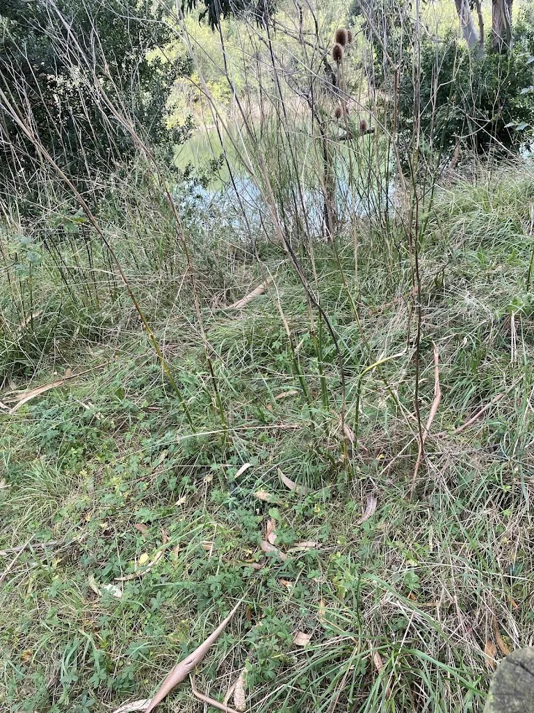 Raquel Borbolla_Ayuntamiento de Marina de Cudeyo_Marina de Cudeyo_review