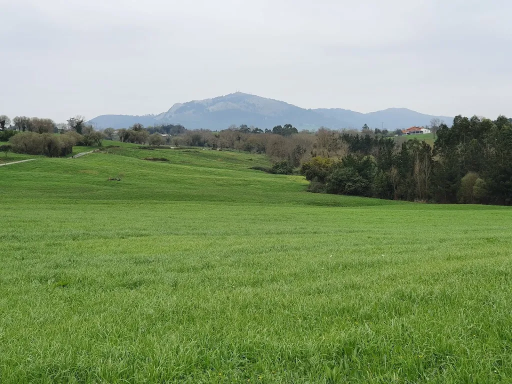 Ayuntamiento de Marina de Cudeyo restaurant in Marina de Cudeyo