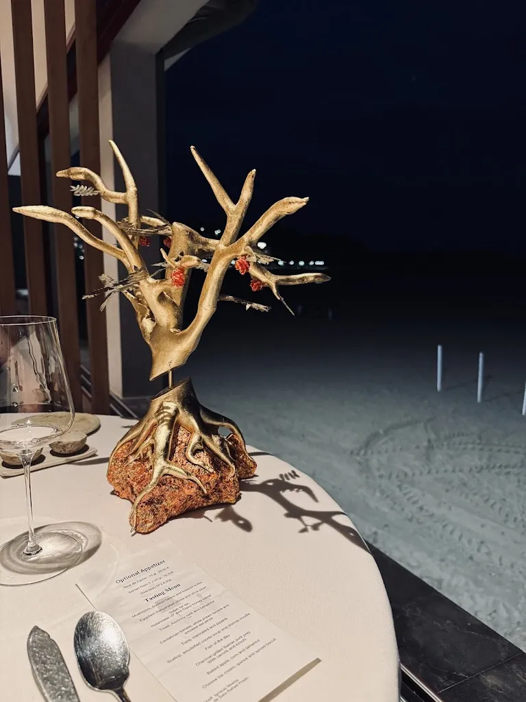 Roman Efimov_Restaurante El Serbal_Provincia de Cantabria_recensione