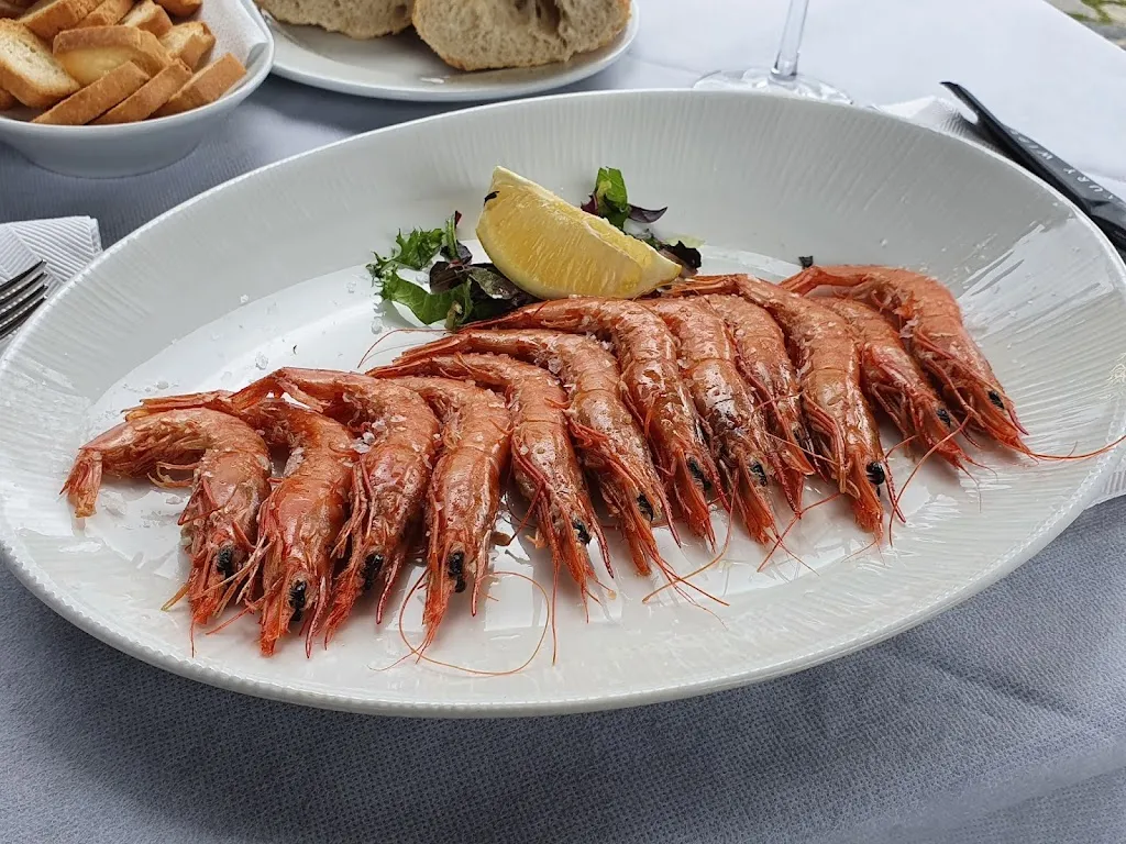 Alex Haas_Cachupín_Laredo_recensione