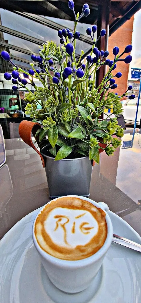 Menu_Restaurante Camarote_Laredo_immagine_9