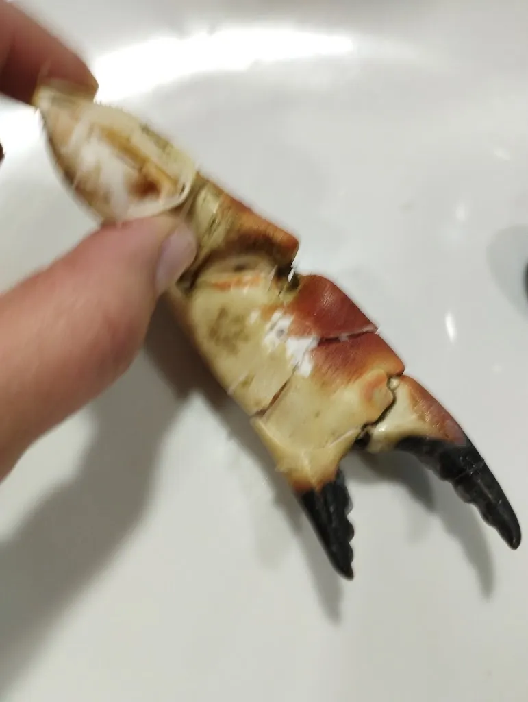 Menu_Restaurante-Marisquería La Viña_Laredo_image_5