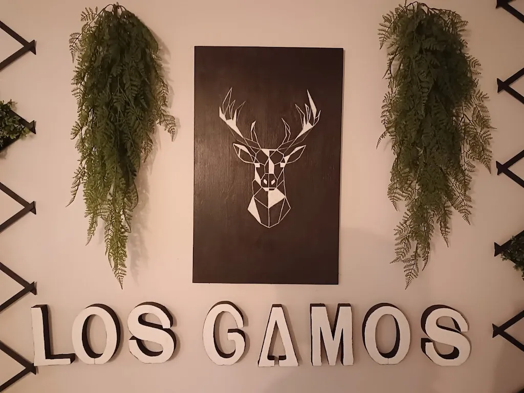 Sandra Maliyekkal Sabu_Los Gamos Gastro Bar_Piélagos_review