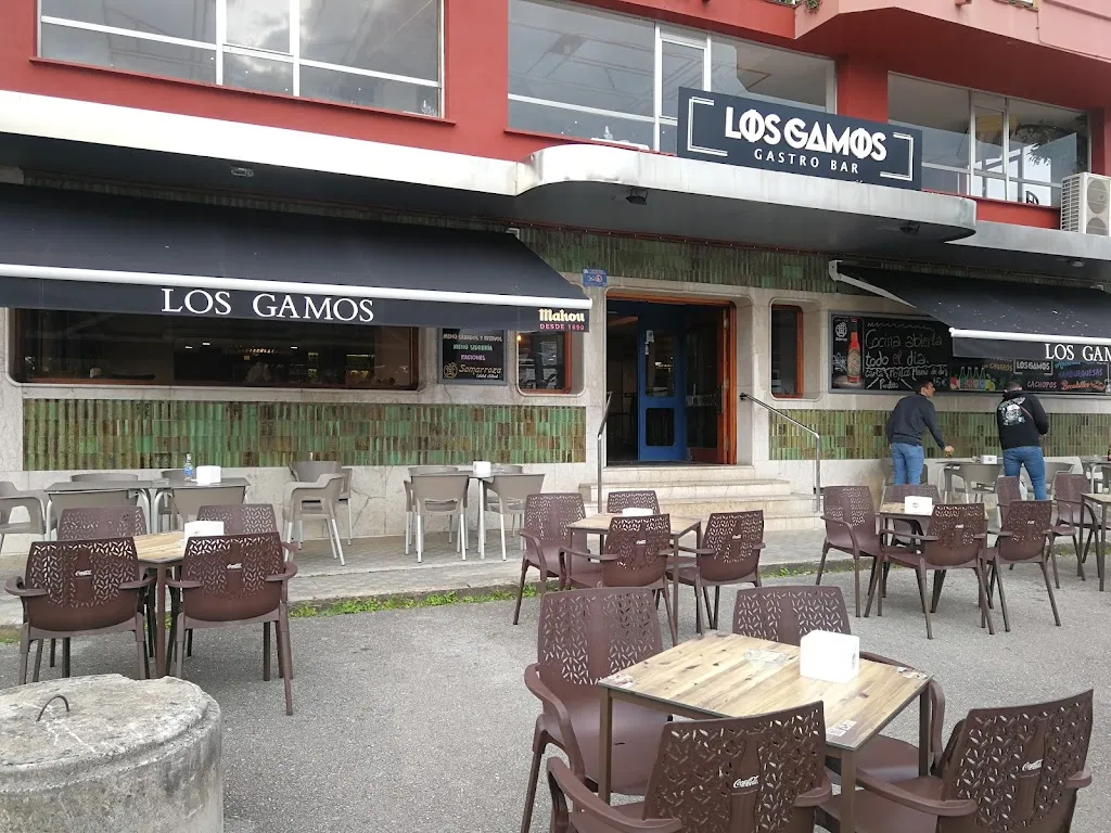 Good Earth_Los Gamos Gastro Bar_Piélagos_review
