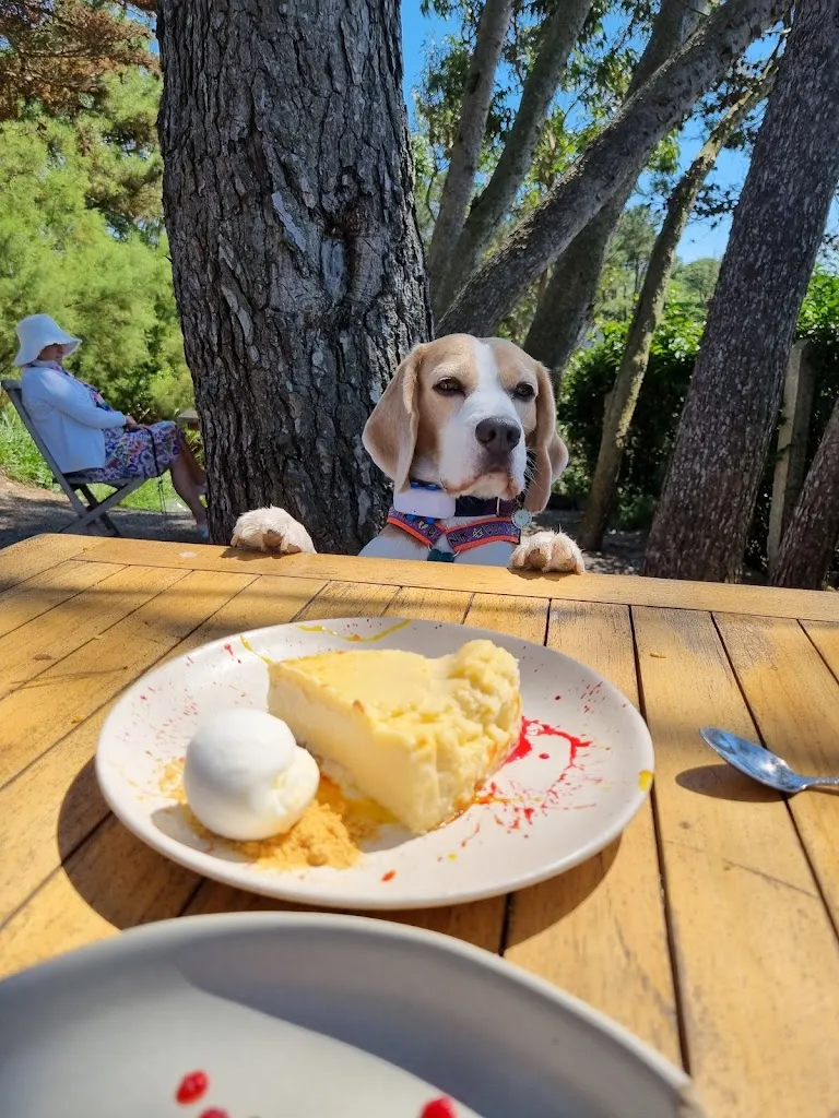 Ignacio Royo Hernandez_Restaurante Avrile_Piélagos_review