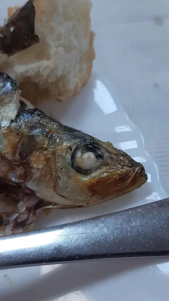 Toro Blanco_Restaurant Pascual 