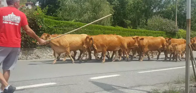 Restaurante La Capitana._Valle de Villaverde_slider_image_2