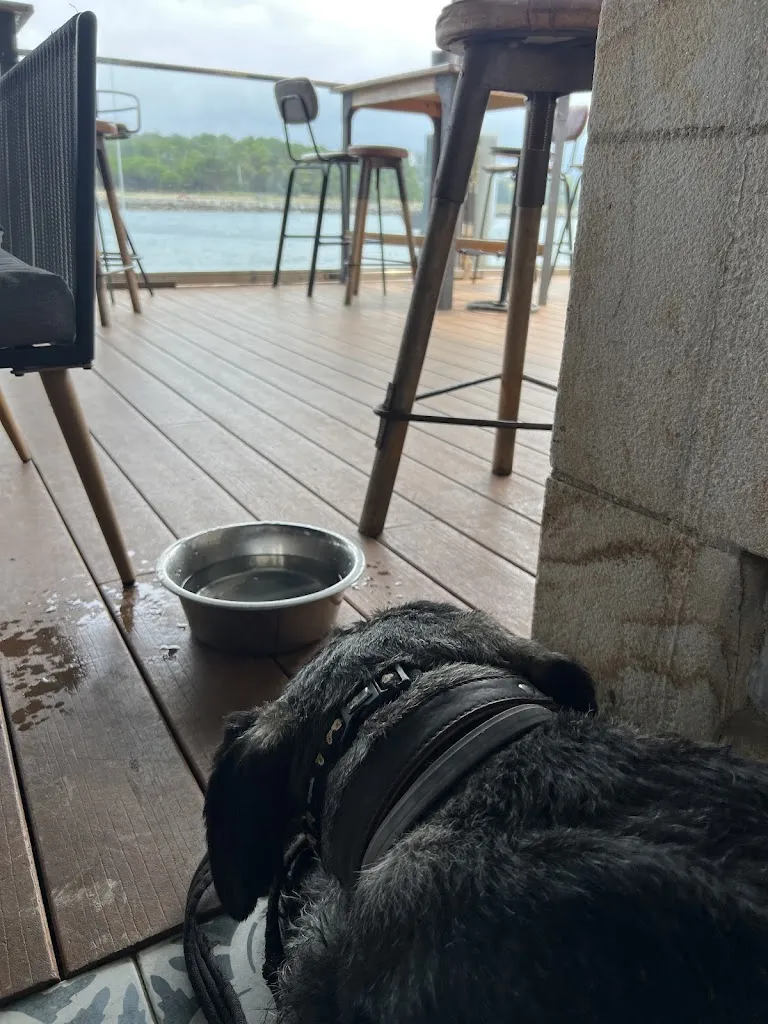 Andrew Childs_La Ostrería San Vicente_San Vicente de la Barquera_review