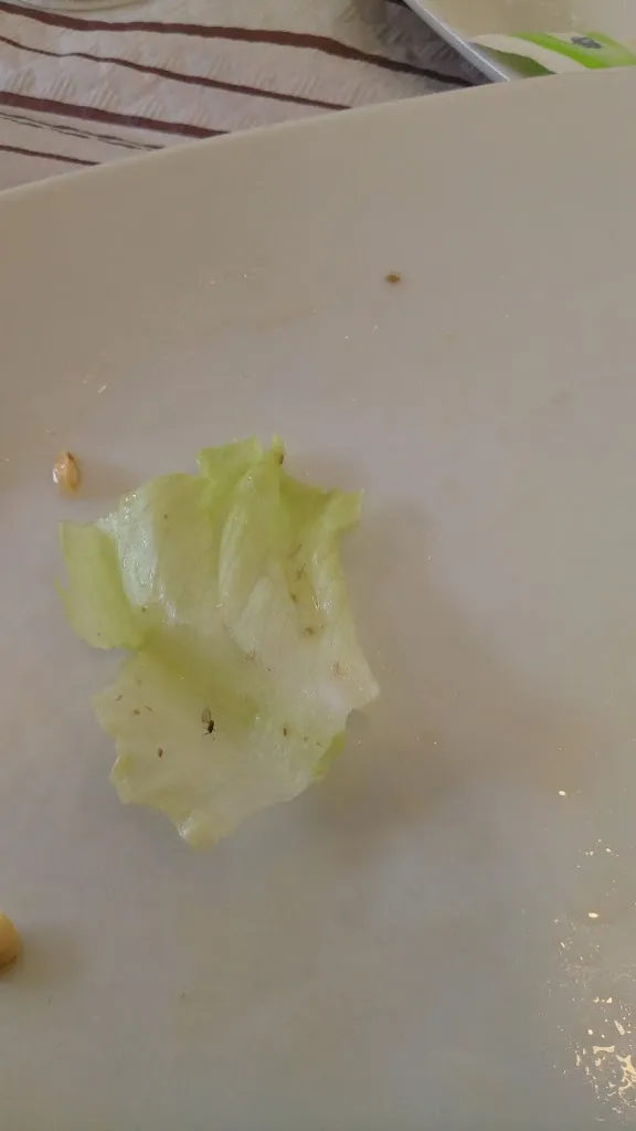 Konstantina_La Tapuca_San Vicente de la Barquera_review