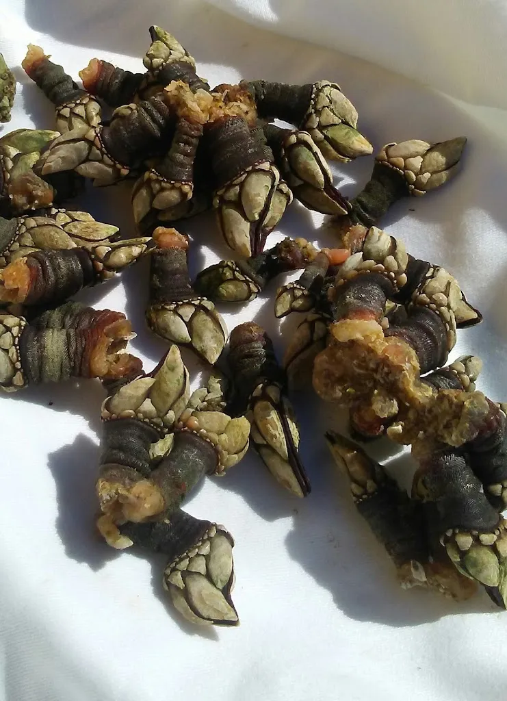 Menu_Restaurante Gerruca_San Vicente de la Barquera_image_9