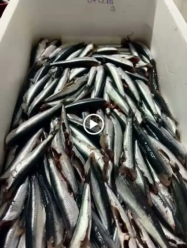 La Cepa Mola ® -Cocina Honesta-_Val de San Vicente_slider_image_2