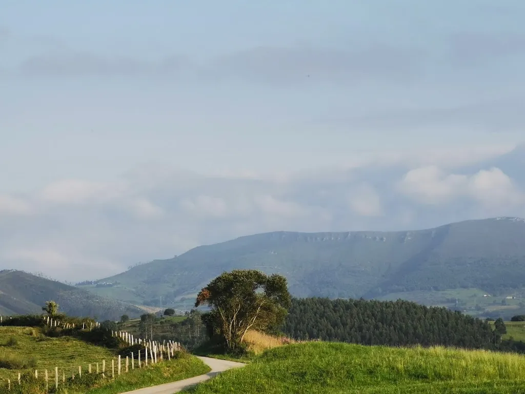 Sara alho_La Parrilla_Val de San Vicente_review