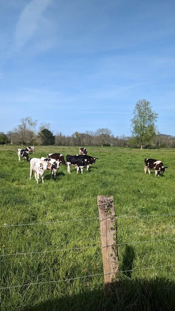 Gabriel Gendelev_Hotel Alfonsina_Villafufre_review