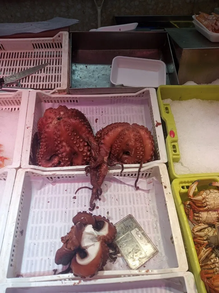 Menu_Ozo Tasty Italian Food_Voto_image_9