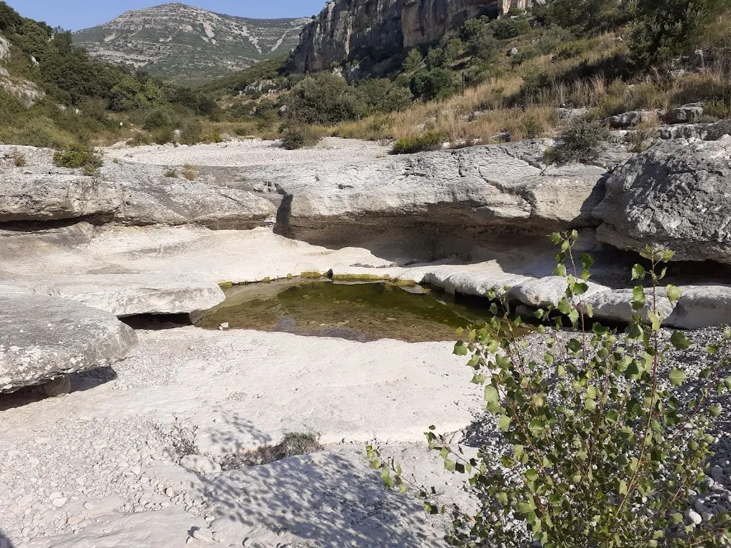 León Querol Montañes_Mas Sol_Albocàsser_review