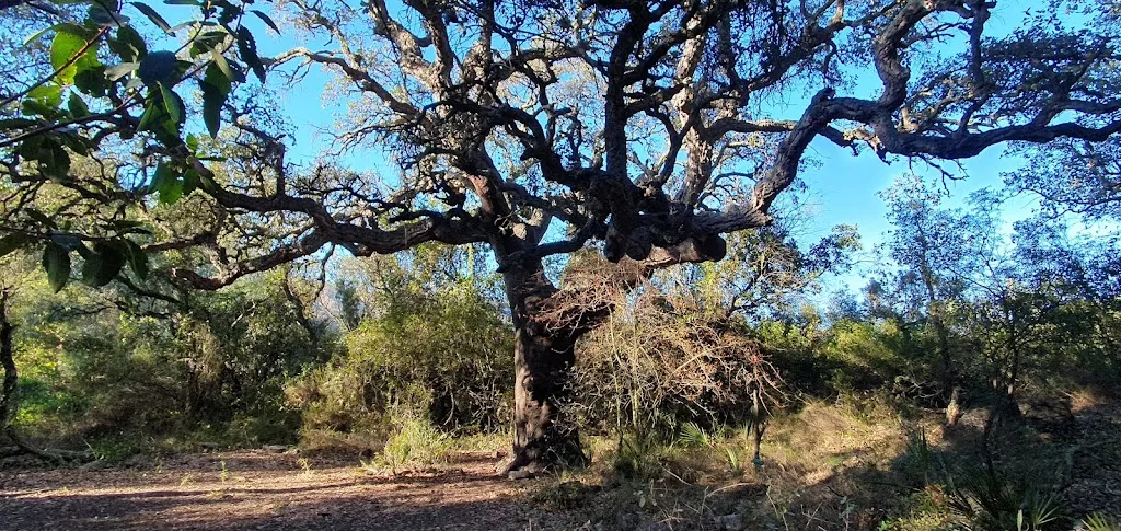 James Eadie_Hotel Gastronómico Mar de Fulles_Alfondeguilla_review