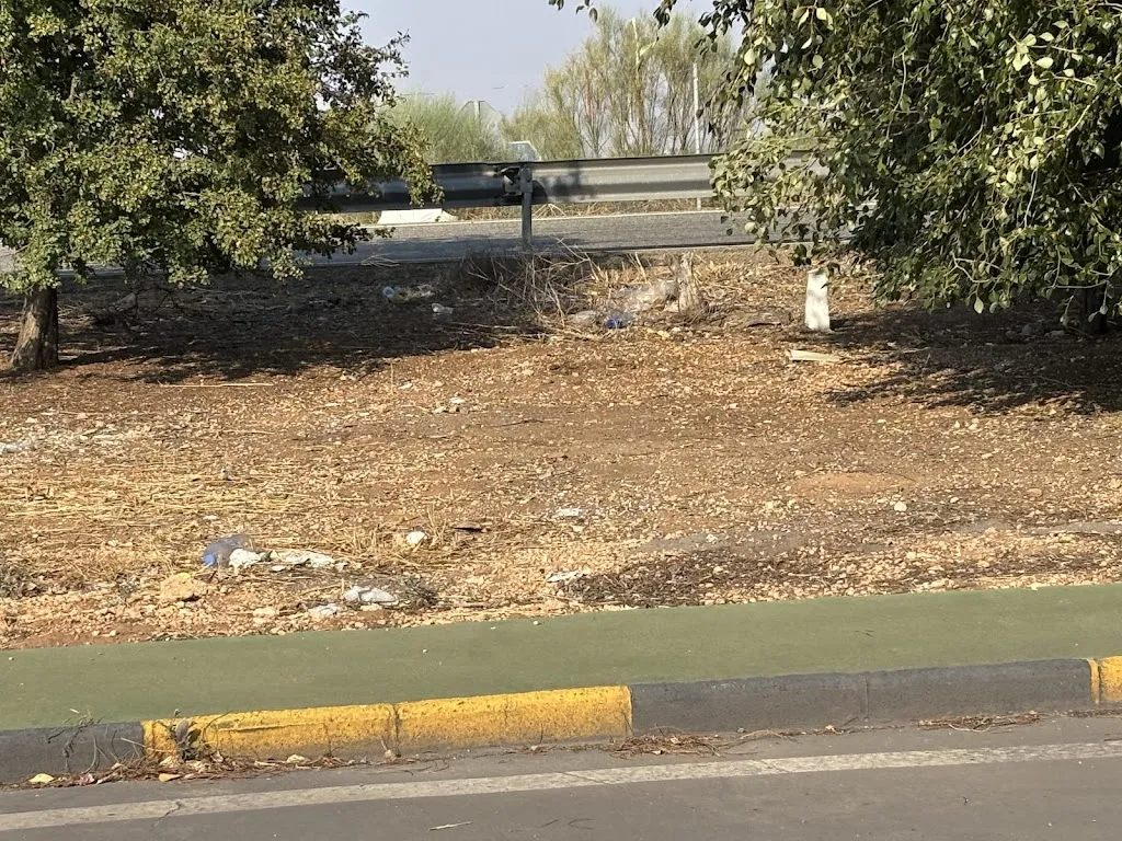 Daniel Fairchapel_Exit - Área de Servicio_Gineta La_review