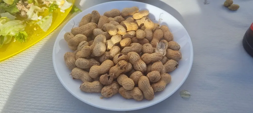 Ricardo Llopis_Bar la Cope_Algimia de Almonacid_review