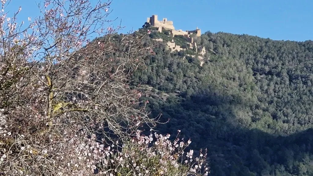 Restaurant Xivert_Alcalà de Xivert_slider_image_1