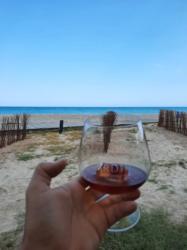 Daniel Sáez_Lliri de mar_Almenara_review