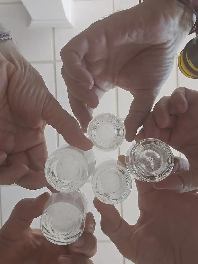 jose manuel_Restaurante La Rabosa_Arañuel_review