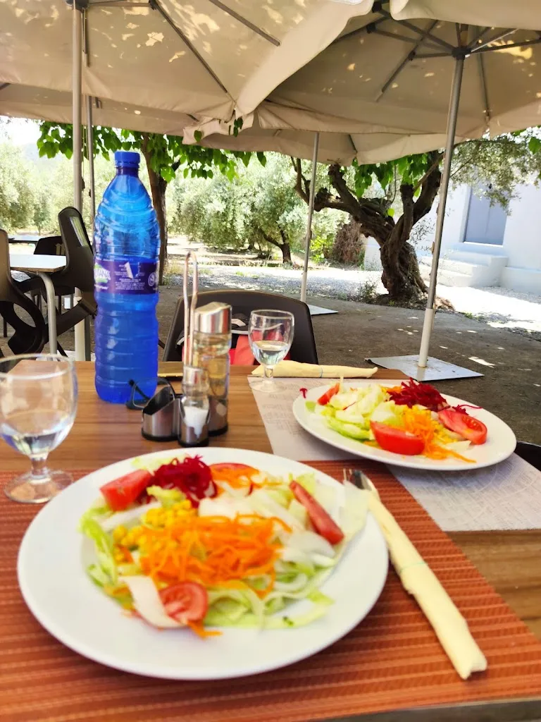 Susanne LV_Restaurant Barbacoa La Serra_Artana_review