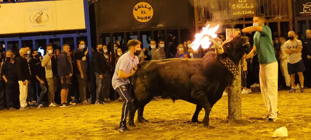 Restaurante La Picaora_Almazora/Almassora_slider_image_1