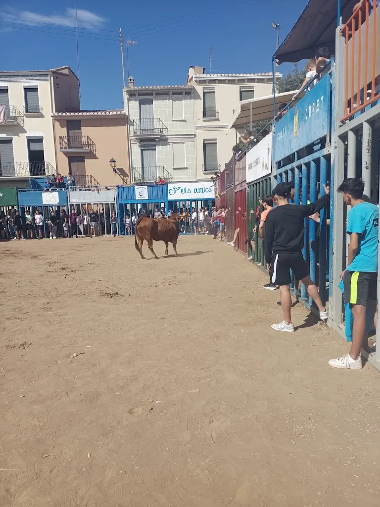 Restaurante La Picaora_Almazora/Almassora_slider_image_2