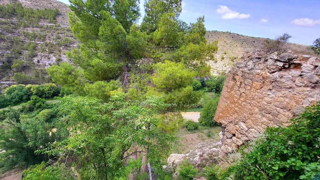 Camille Duesbury_Bar Ruti_Jorquera_review