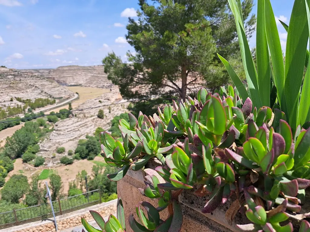 Sez it Reght_Bar Ruti_Jorquera_review