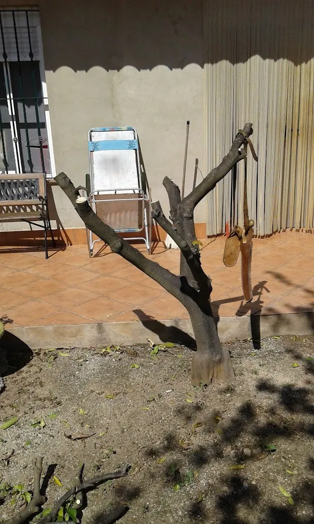 El Serrao_Castellnovo_slider_image_2