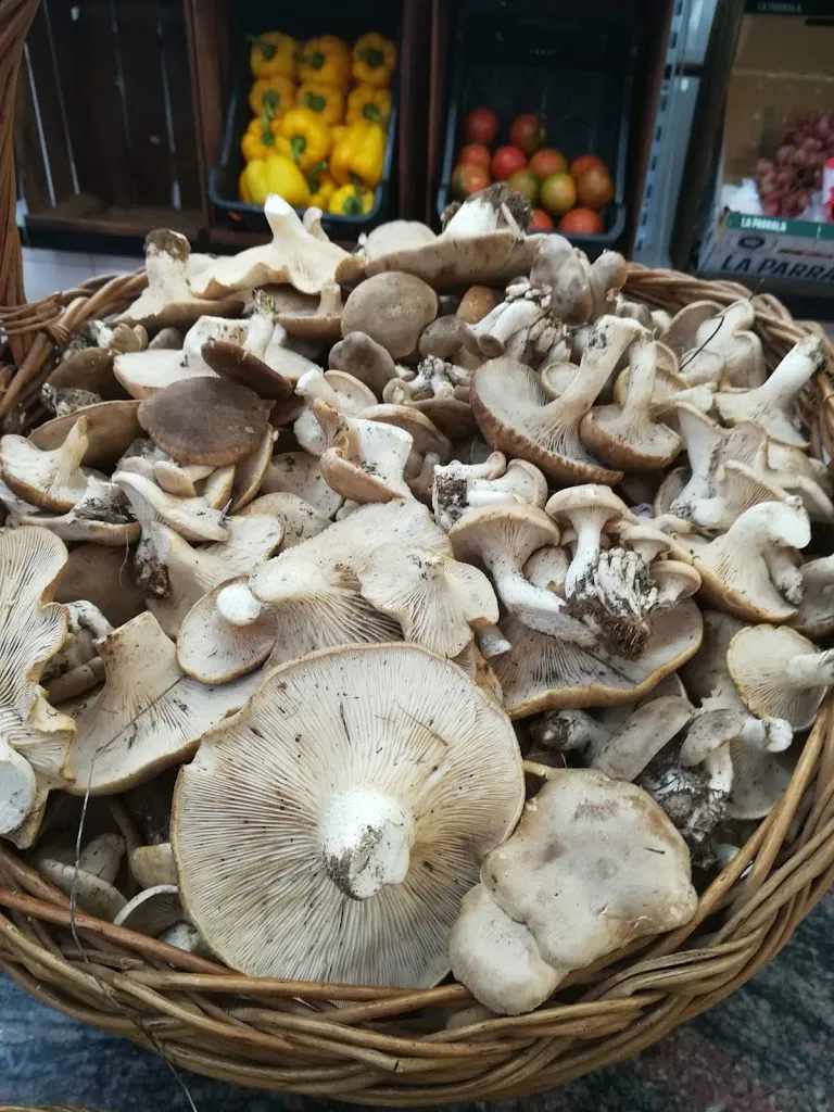 Menu_Brasería Tapería Casa Lorenzo_Lezuza_image_8