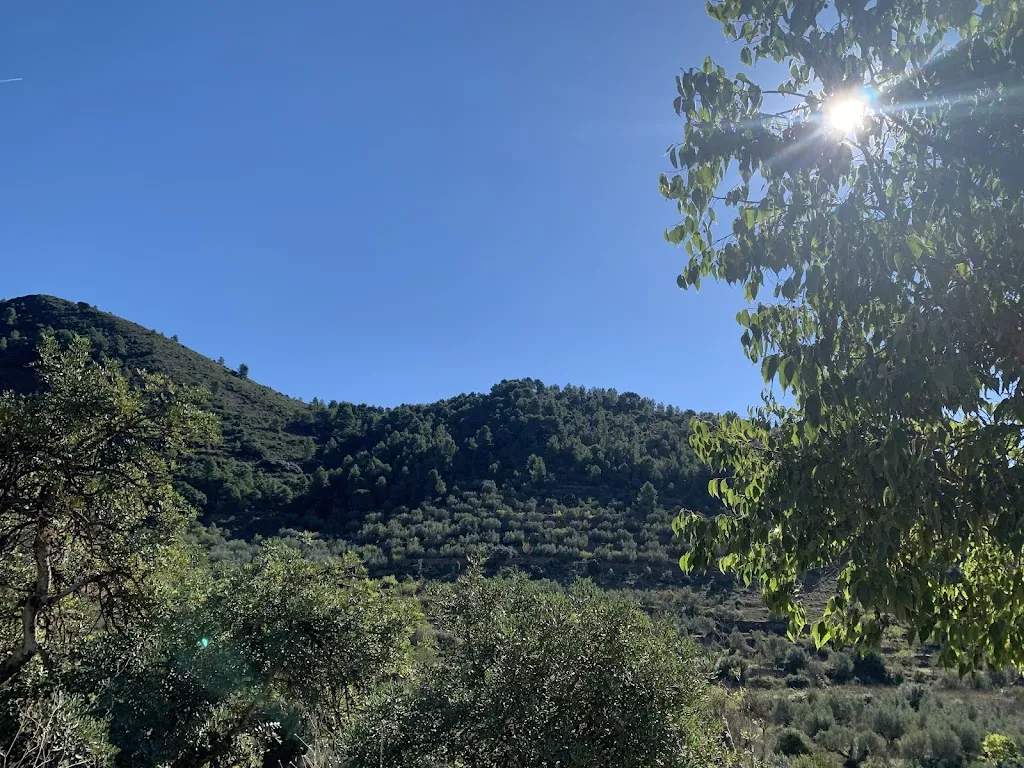 Brigitte Berthier_Bar Cooperativa_Chóvar_review