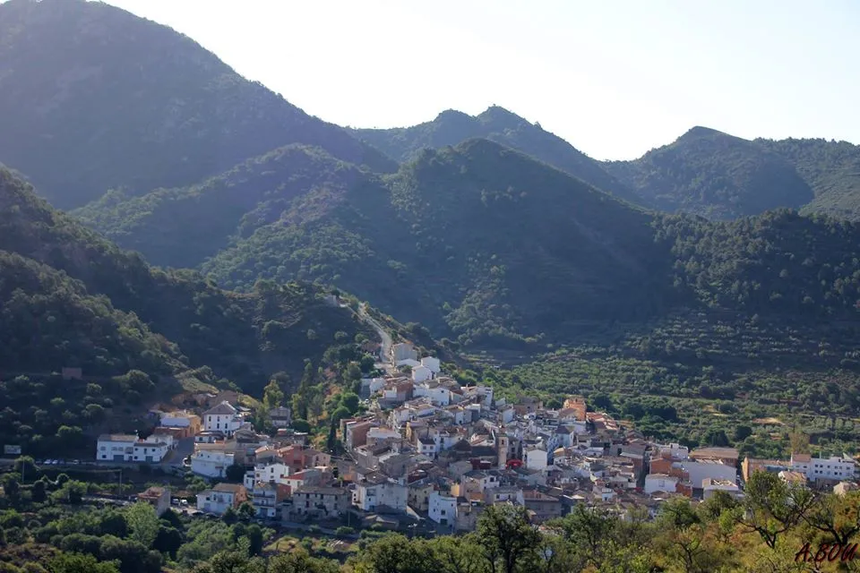 Bar Cooperativa_Chóvar_slider_image_2