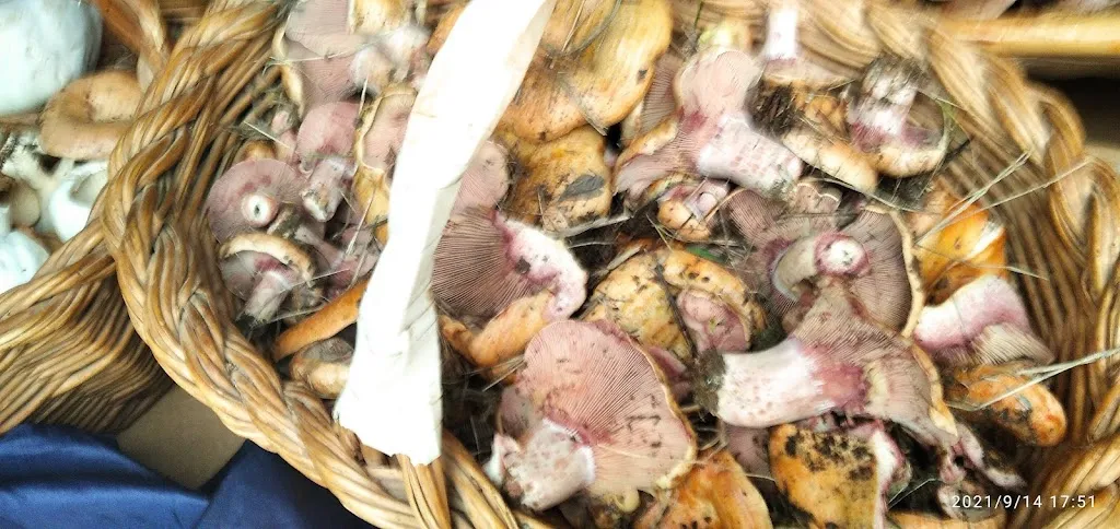 Menu_Casa Chimo Restaurant_Cortes de Arenoso_immagine_5