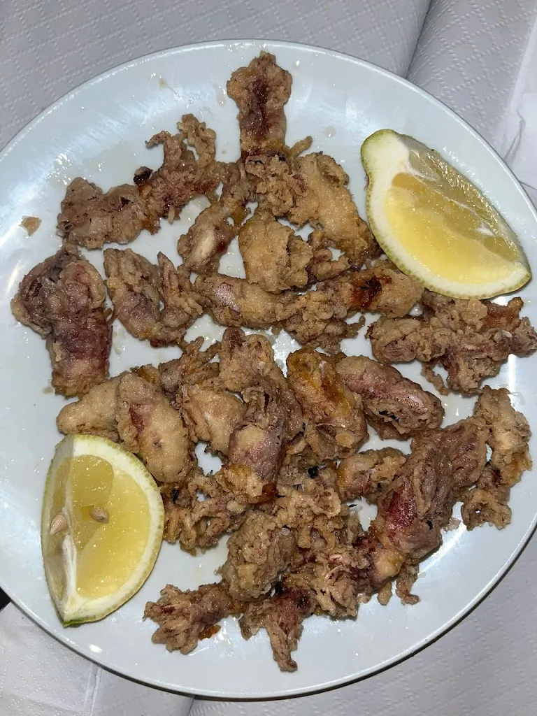 Marta Albella_Nou Temple | Terrassa_Coves de Vinromà les_review