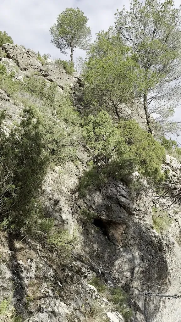 juani fernandez_Restaurante Las Fuentes de Letur_Letur_review